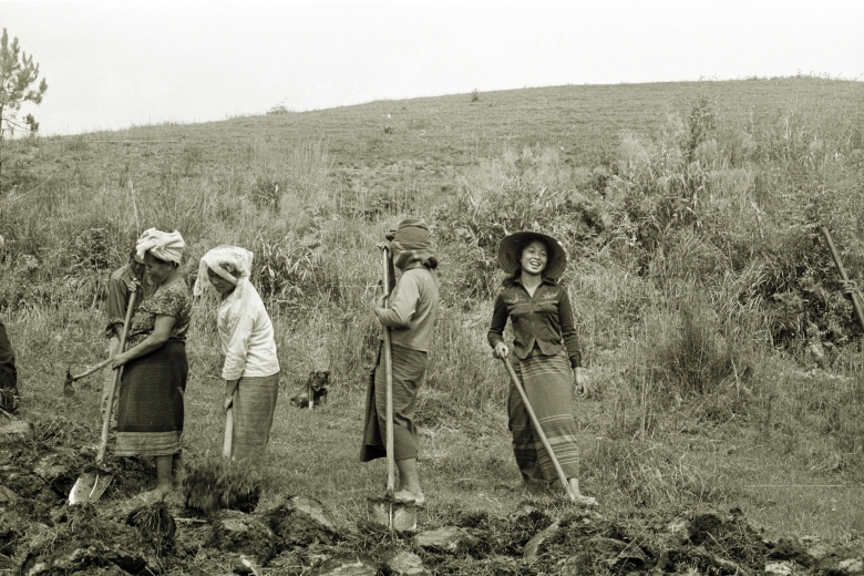 Four people use shovels to work soil in a field.