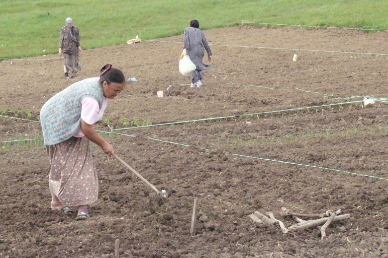 Women work the soil in a field.